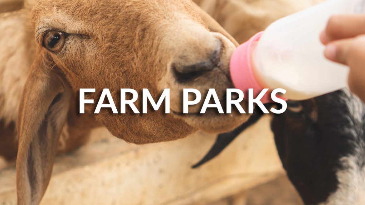 online booking system for farm parks