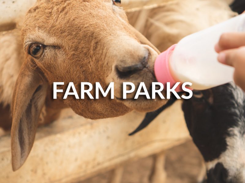 online booking system for farm parks