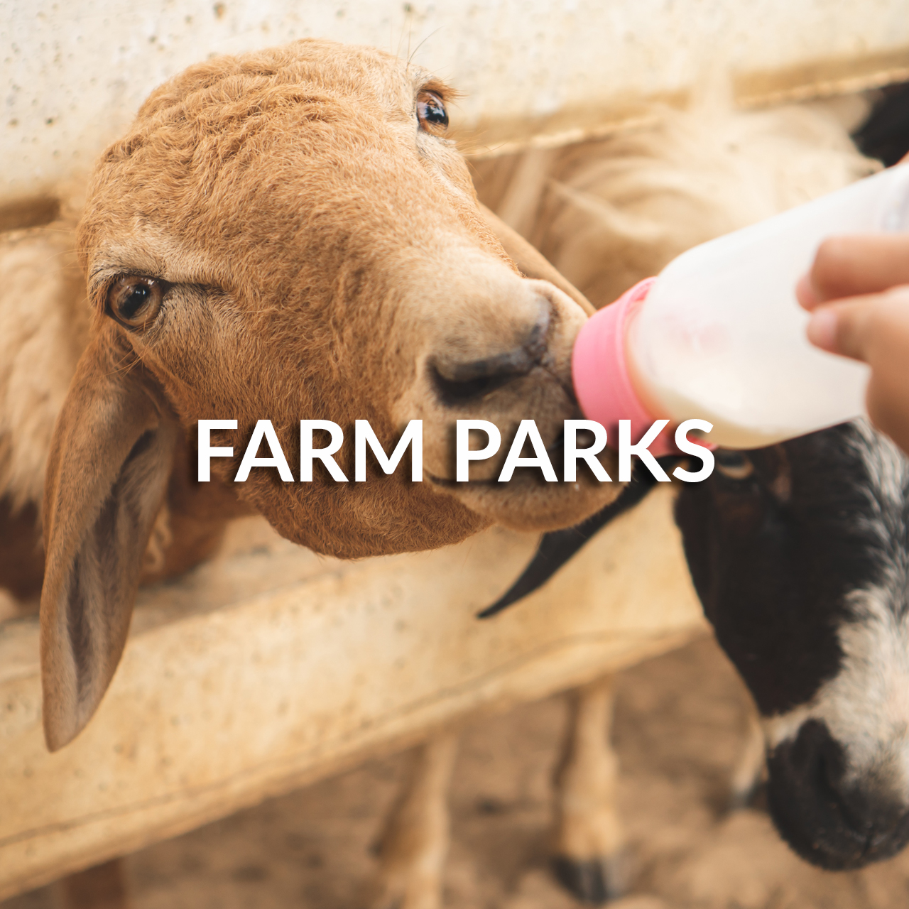 online booking system for farm parks